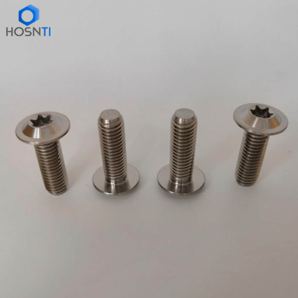 Motorcycle Titanium bolts M8x25mm for Rotor Disc Brake – Baoji HOSN