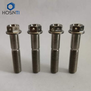 drilled flange titanium bolt