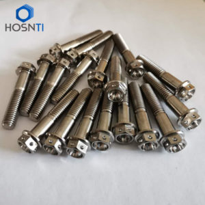 drilled titanium bolts