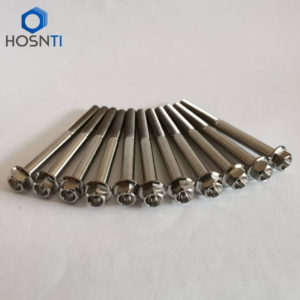 flange titanium bolt